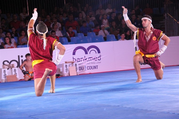 Martial Arts Festival